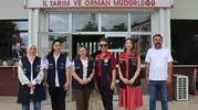 Bolu tarlalarında kadınların nohut bereketi