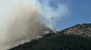 Adıyaman Sincik’te orman yangını paniği