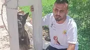 Hatay’da sahipli köpeğe vahşi saldırı