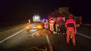 Bingöl yolunda gece vakti hayvan kazası
