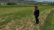 Aydıntepe çiftçisinin tarlası tek tek kontrol ediliyor