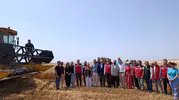Tekirdağ’da yağ üretiminde gizli tehlikeye karşı denetim