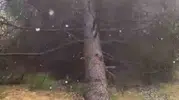 Erbaa'da fırtına hayatı felç etti