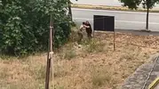 Gölcük’te dehşet anları Yeğen dayısını palayla katletti