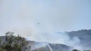 Bornova’da orman yangını korkuttu