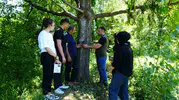 Kastamonu merkezine 5 kilometre mesafedeki köye ayı indi
