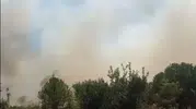 Sındırgı ormanlarında yangın paniği