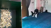 Kutsal mekanda vicdansız hırsızlık: İki aylık birikimi saniyeler içinde çaldı