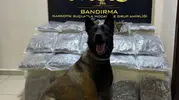 Bandırma'da gübre taşıyan araca narkotik baskını