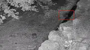 Diyarbakır Çermik’te davetsiz misafir Yavru ayı çeşmeye indi