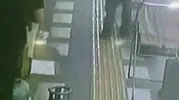 Kızıltepe'de gündüz gözüyle papağan hırsızlığı