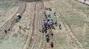 Taşköprü’de beyaz altın hasadı başladı