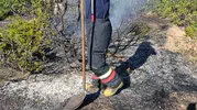 Bingöl’de yol kenarındaki alevler büyümeden durduruldu