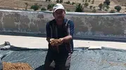 Çermik dutu bu yıl tezgahlara bollukla geldi