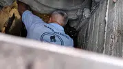 Alanya'da kanalizasyona düşen kediyi belediye ekipleri kurtardı