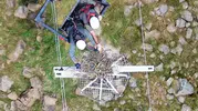 Elektrik direkleri göçmen kuşlara güvenli yuva oluyor