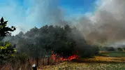Ayvacık'ta korkutan ot yangını söndürüldü