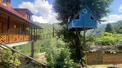 Rize’de iki kardeşin ağaç evine ulaşımı asma köprüyle sağladılar
