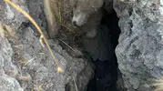Polatlı arazisinde aniden açılan obruk çobanlara zor anlar yaşattı