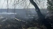 Konya Karatay’da karganın sebep olduğu anız yangını korkuttu