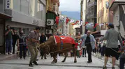 Artvin’de geleneksel Kafkasör coşkusu sokaklara taştı