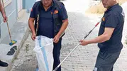 Sandıklı'da evde yılan dehşeti yaşandı
