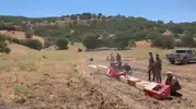 Elazığ’da kene istilasına karşı 300 keklik göreve başladı