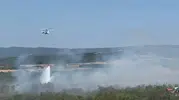 Şarköy'deki anız yangını ormanlık alana sıçradı