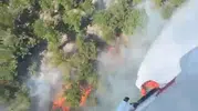 Çatalca ormanlarında yangın paniği