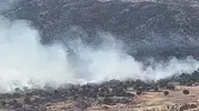 Adıyaman İndere bölgesinde orman yangını paniği