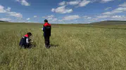 Karslı çiftçinin tarlasında hasar tespit mesaisi başladı