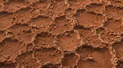 Mars'ta ne bulundu: Kızıl Gezegen'in sırrı çözülüyor