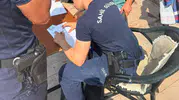 Marmaris'te kılıç balığına eziyet eden kişiye ceza kesildi