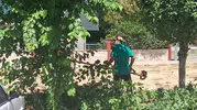 Efeler’de parklar yaz sezonuna hazırlandı