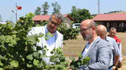 Samsun tarımında yeni dönem için sahaya inildi