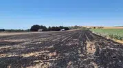 Silivri’de ihmal kurbanı yangın tarlaları küle çevirdi