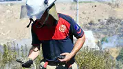 İzmirdeki yangında itfaiye ekipleri bukalemunu hayata döndürdü