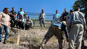 Bitlis’te kadın cinayeti Eşini silahla vuran koca cezaevine gönderildi