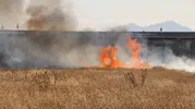 Karaman'da kuru ot yangını paniği