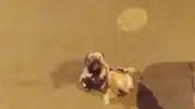 Iğdır sokaklarında gece yarısı kavga kamerada