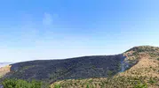 Afyonkarahisar yangınında 150 hektarlık arazi küle döndü