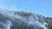 Sultanhisar’da orman yangını korkuttu