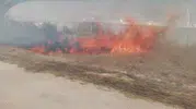 Çatalca'da 600 dönümlük arazi küle döndü