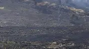 Siirt Akyamaç köyünde çıkan yangın 50 dönümü yaktı