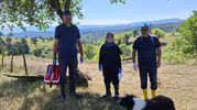 Dipsizgöl Yaylası’nda küçükbaş hayvanlar için sağlık taraması yapıldı