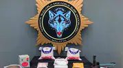 Malatya polisinden İstanbul merkezli dev uyuşturucu operasyonu