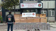 Gümrüklerde kaçakçılığa dev operasyon