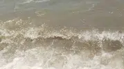 Bodrum denizindeki kirlilik sonrası savcılık harekete geçti