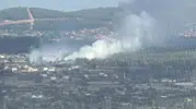 Muğla Menteşe ormanlarında yangın alarmı