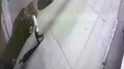 Elini öptüğü yaşlı adamı 2 milyon lira dolandıran şüpheli yakalandı